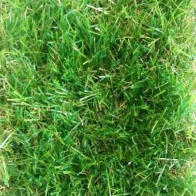 Искусственная трава Тропикана 35