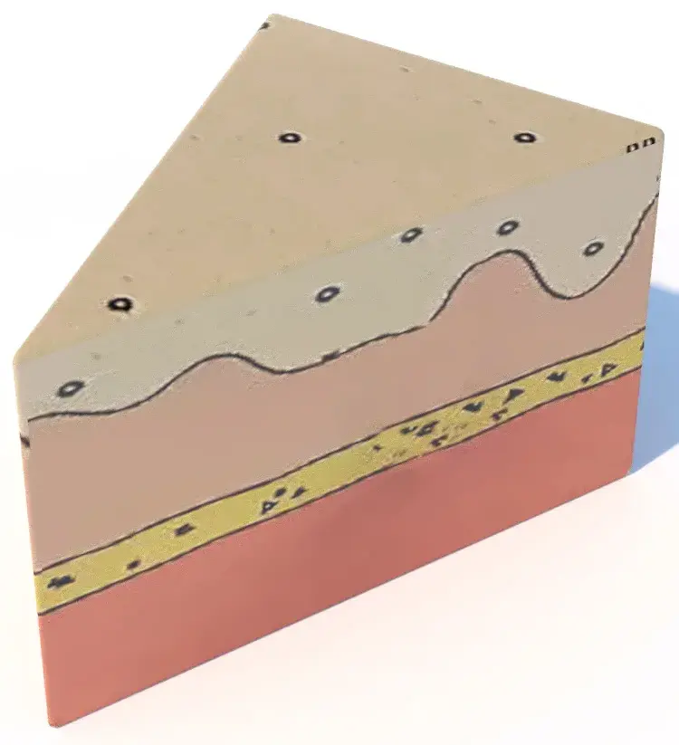 Ограждение «Кусок торта»