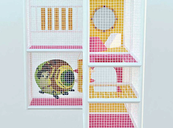 Детский игровой лабиринт Улитка Фото 2