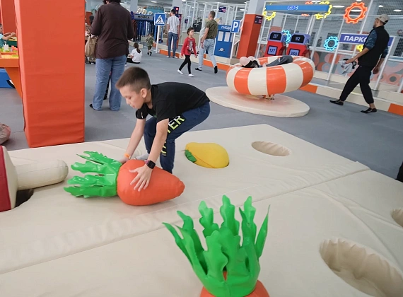 Игровой комплекс «Зеленая грядка» Фото 9