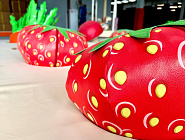 Игровой комплекс «Грядка» Фото 6