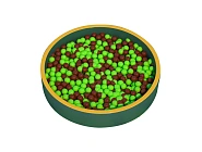 Игровая комната «Джунгли» Фото 6