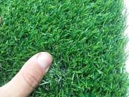 Искусственная трава Пелегрин 20