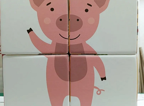 Набор кубиков «Собери рисунок» с аппликацией Фото 17