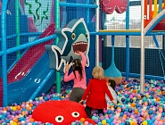 Настенный шарожор «Акула»