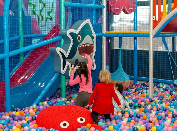 Настенный шарожор «Акула»