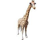 Фигура декоративная «Жираф»